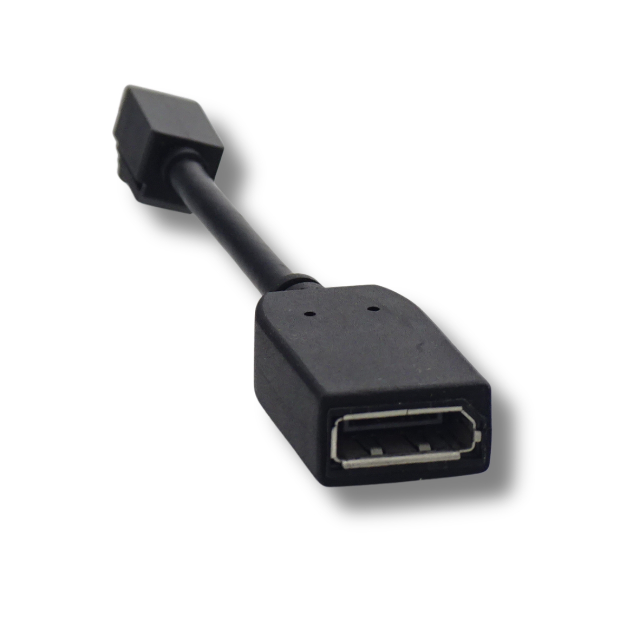 Mini DisplayPort zu DisplayPort Adapter